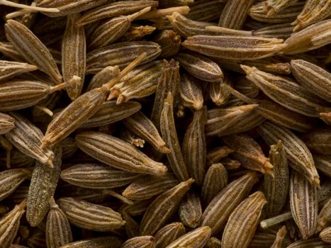 close up of cumin seeds food background