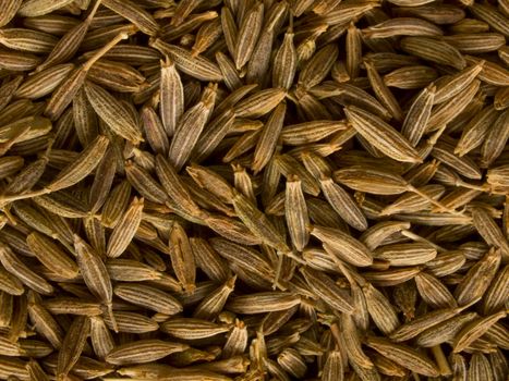 close up of cumin seeds food background