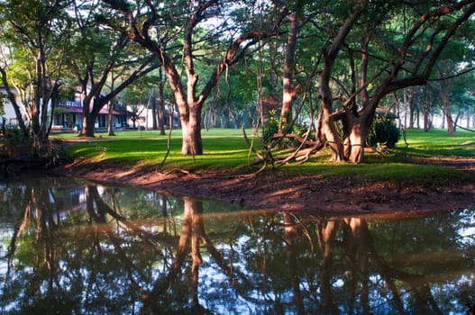 Mystical lake in a park with buildings on background