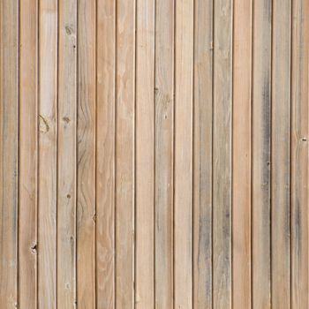Vertical view of texture of pine wood background.