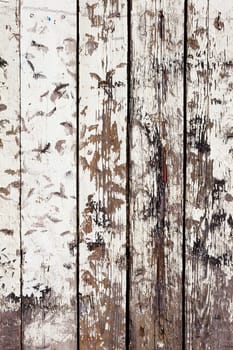 Vintage or grungy white background of natural wood or wooden old texture as a retro pattern wall.