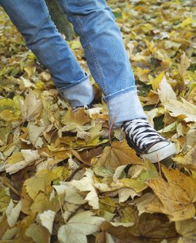 Human walking among Autumn Leafs