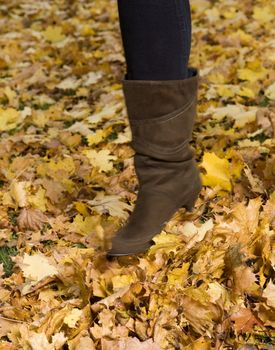 Human walking among Autumn Leafs