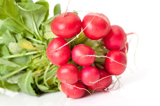 Radish with leaf of a white background