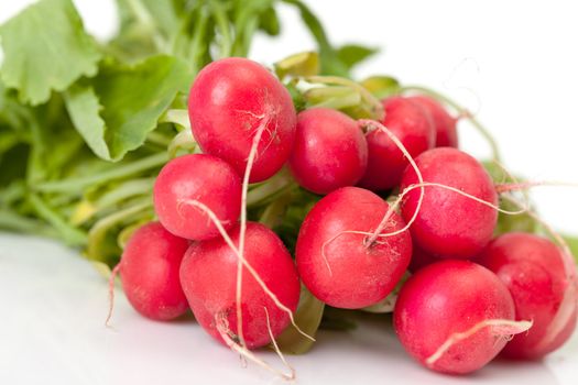 Radish with leaf of a white background