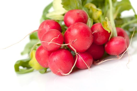 Radish with leaf of a white background