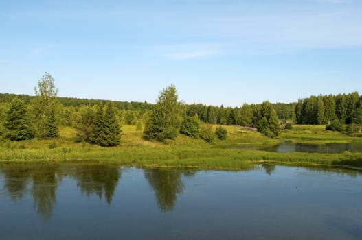 Bank of the little forest lake, summer time