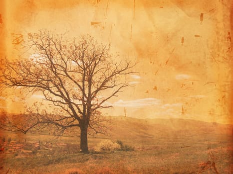 vintage design - autumn tree over old paper