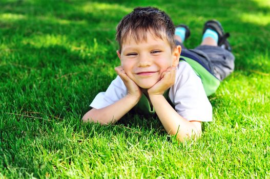 happy little boy on the sunny meadow