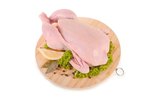 Fresh raw chicken and condiments, isolated on white background, clipping path included 