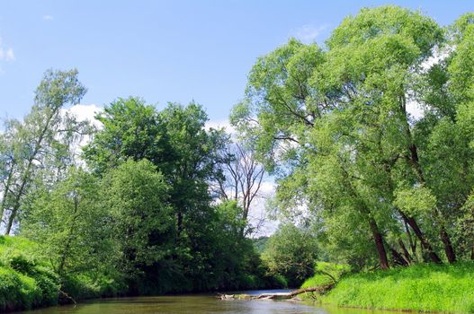 summer landscape with river