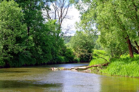 summer landscape with river