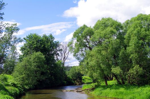 summer landscape with river