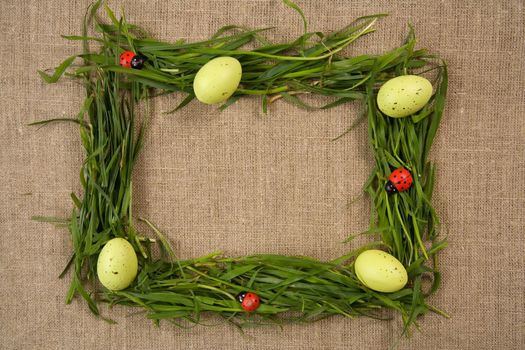 Grass frame with eggs and lady-bugs over canvas background 