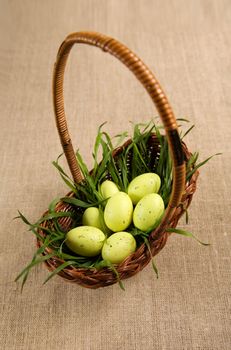 Basket with Easter eggs in grass, selective focus on eggs 