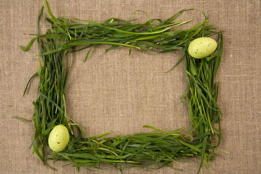 Grass frame with eggs over canvas background 