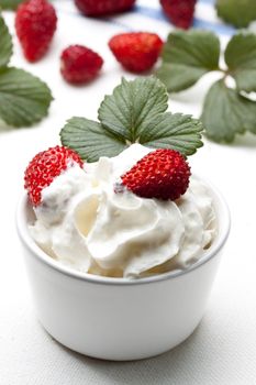 fresh strawberry with whipped cream