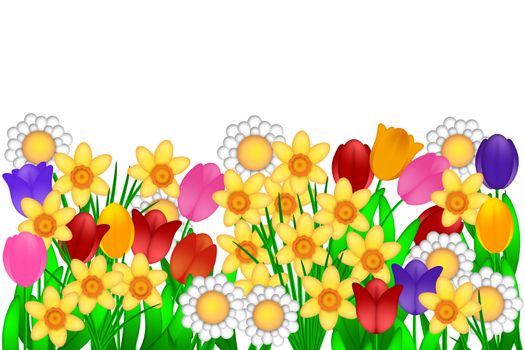 Spring Flowers with Tulips Daffodils Daisies Illustration Isolated on White Background