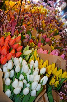 Display of colorful tulip bouquets at market