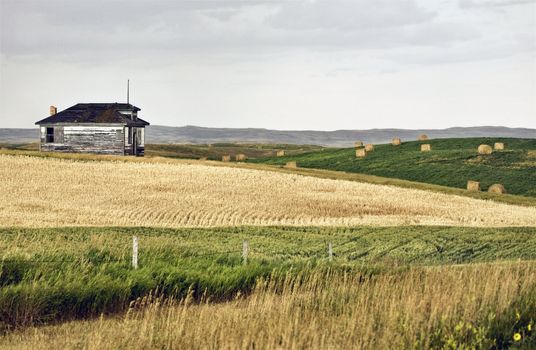 Rural Saskatchewan in summer with crops Canada