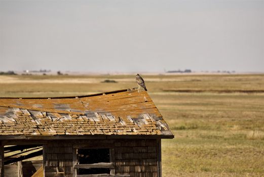 Rural Saskatchewan in summer with crops Canada