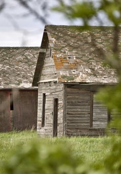 Rural Saskatchewan in summer with crops Canada