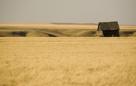 Rural Saskatchewan in summer with crops Canada