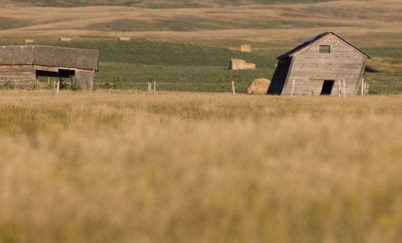 Rural Saskatchewan in summer with crops Canada