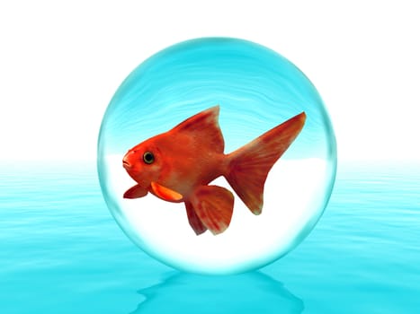goldfish in a drop