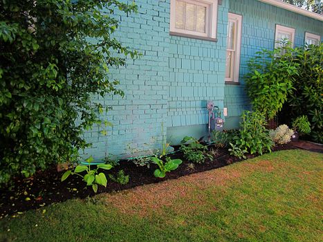 A photograph of landscaping at a house.