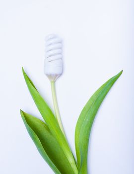 energy saving lamp a flower on white