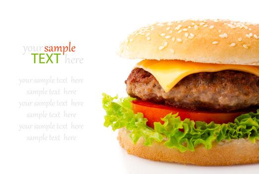 Tasty hamburger on white background