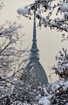 Winter cityscape: Mole Antonelliana in Turin, Italy