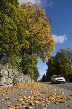 One car in Autumn Environment