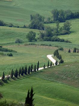 The landscape of the Val d’Orcia. Tuscany. Italiy