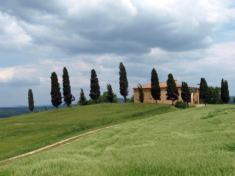 The landscape of the Val d’Orcia. Tuscany. Italy