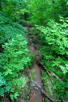 Small stream through the lush forests of Mississippi Palisades State Park in Illinois.