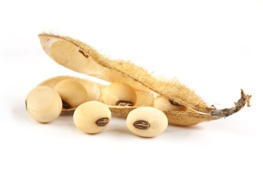 Soy pods isolated on white background