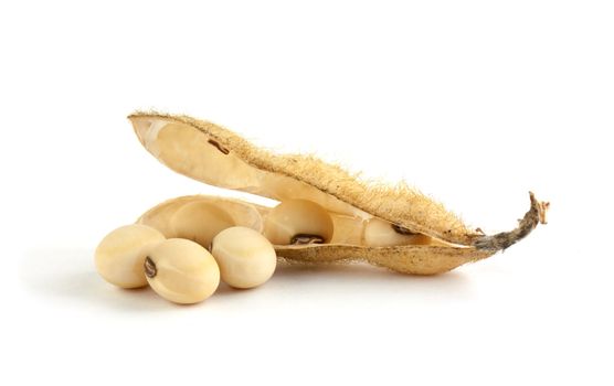 Soy pods isolated on white background