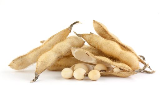 Soy pods isolated on white background