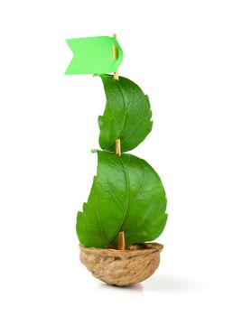 Sailboat made of walnut with a leaf as sail isolated on white background 