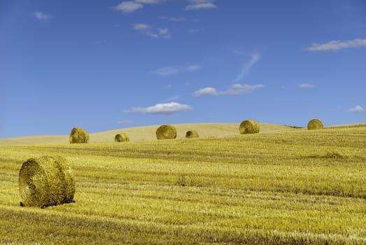 straw roll in a harvested field