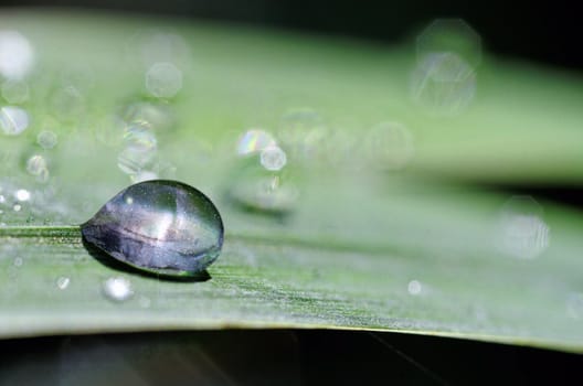 a bubble of water with a galaxy inside