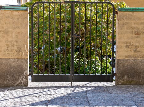gate with green bushes behind it