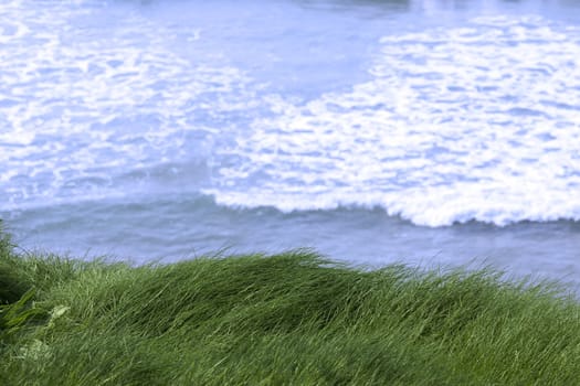 grass on the cliff edge with atlantic ocean in the background