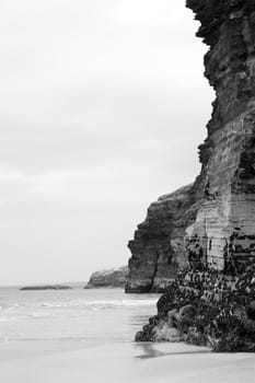 ancient cliffs on the coastal beach in ballybunion county kerry ireland in black and white