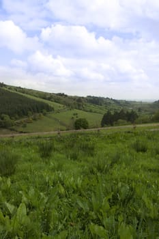 lush irish countryside landscape in glenough county tipperary ireland