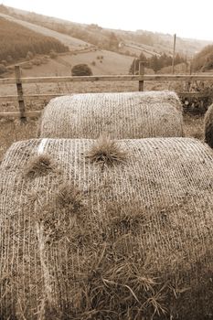 old round bales in lush irish countryside landscape at glenough county tipperary ireland in sepia