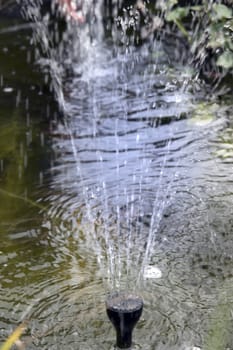 pond water sprinkler in an irish country garden