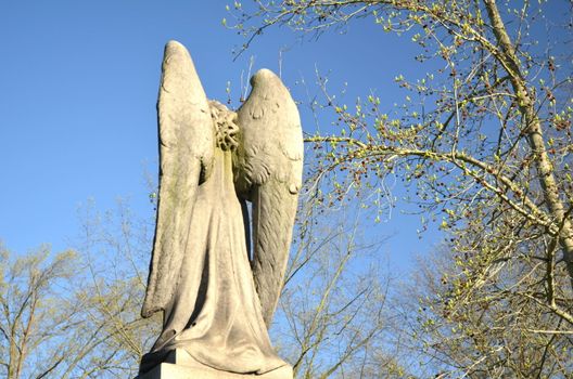 monument of an angel watching and protecting with blue sky and trees in background